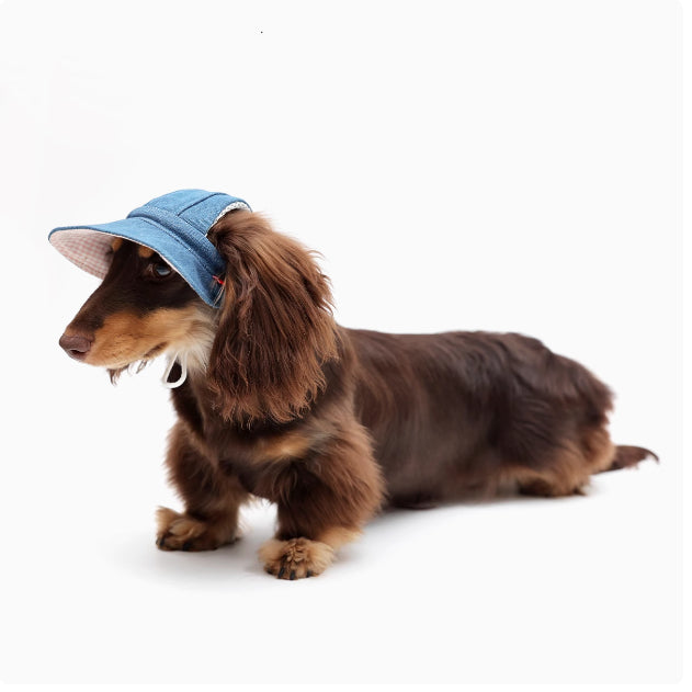 KFX-4631613 Pet Denim Cowboy Hat for Sun Protection - Available in Sizes S, M, L