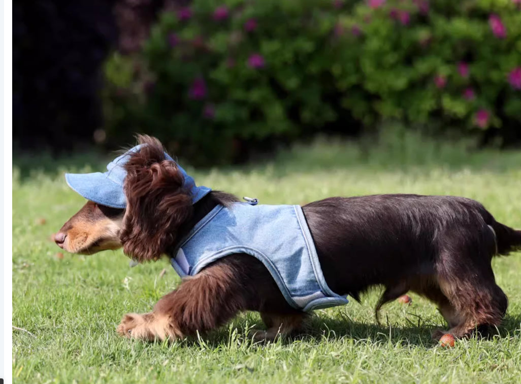 KFX-4631613 Pet Denim Cowboy Hat for Sun Protection - Available in Sizes S, M, L