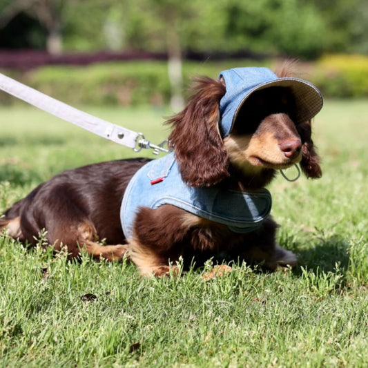 KFX-4631613 Pet Denim Cowboy Hat for Sun Protection - Available in Sizes S, M, L