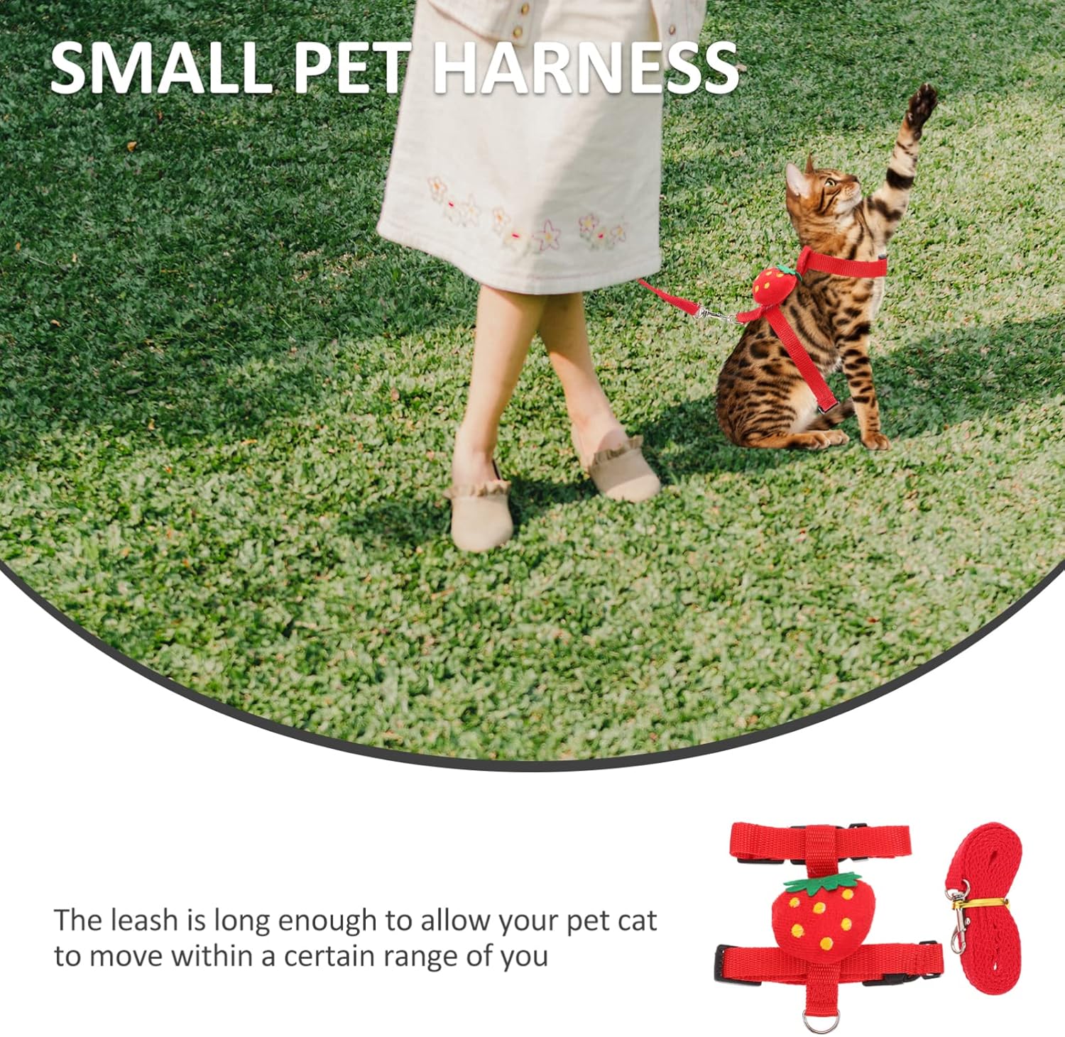 KFX-4638269 Small Pet Harness and Leash Set for Cats and Dogs - Secure and Comfortable Walking Solution