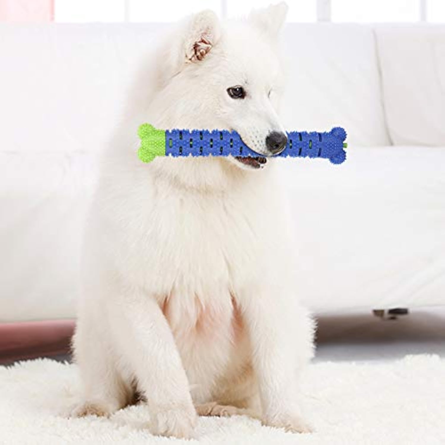 KFX-4644029 Blue Green Pet Molar Tooth Cleaner Brush Stick for Dog Dental Care and Oral Health