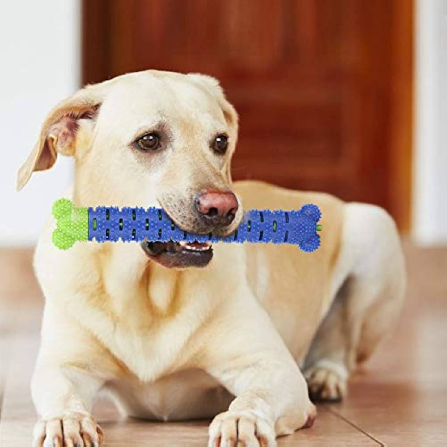 KFX-4644029 Blue Green Pet Molar Tooth Cleaner Brush Stick for Dog Dental Care and Oral Health