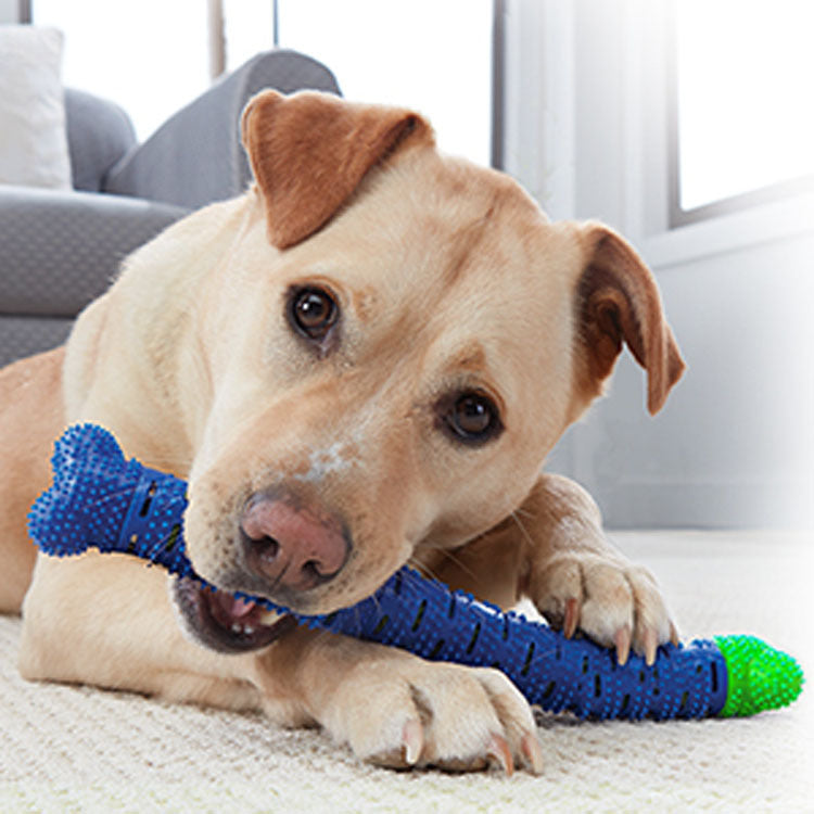 KFX-4644029 Blue Green Pet Molar Tooth Cleaner Brush Stick for Dog Dental Care and Oral Health