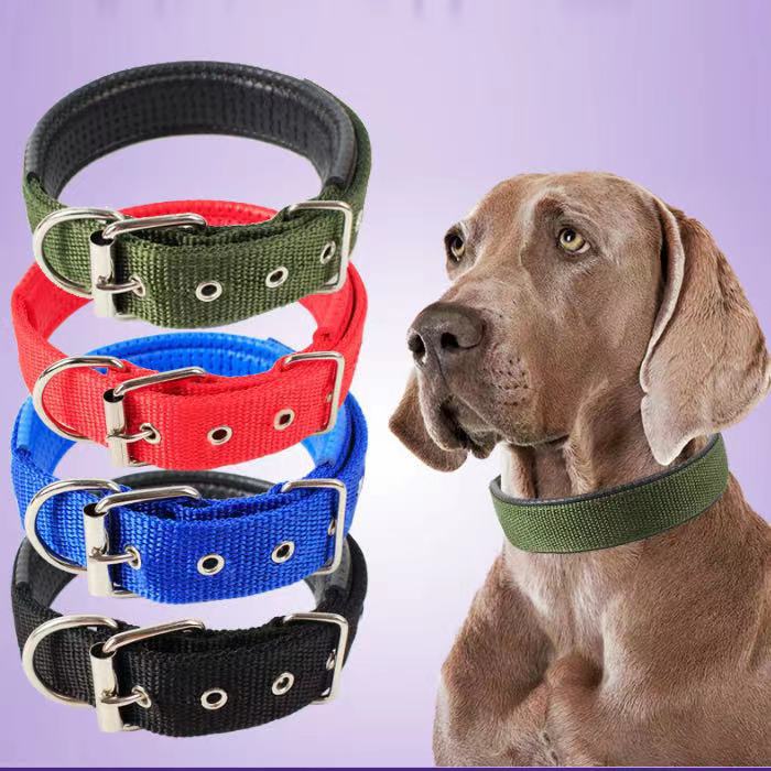 KFX-4644541 Nylon Dog Collars in Blue, Black, Red, and Green for Small to Large Breeds