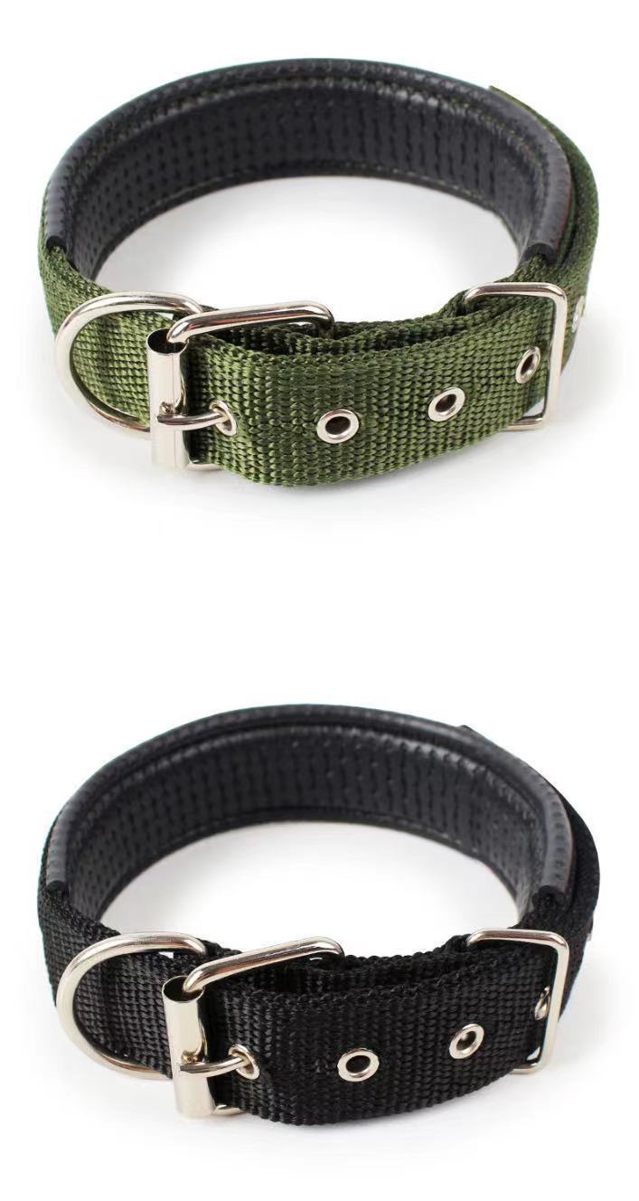 KFX-4644541 Nylon Dog Collars in Blue, Black, Red, and Green for Small to Large Breeds
