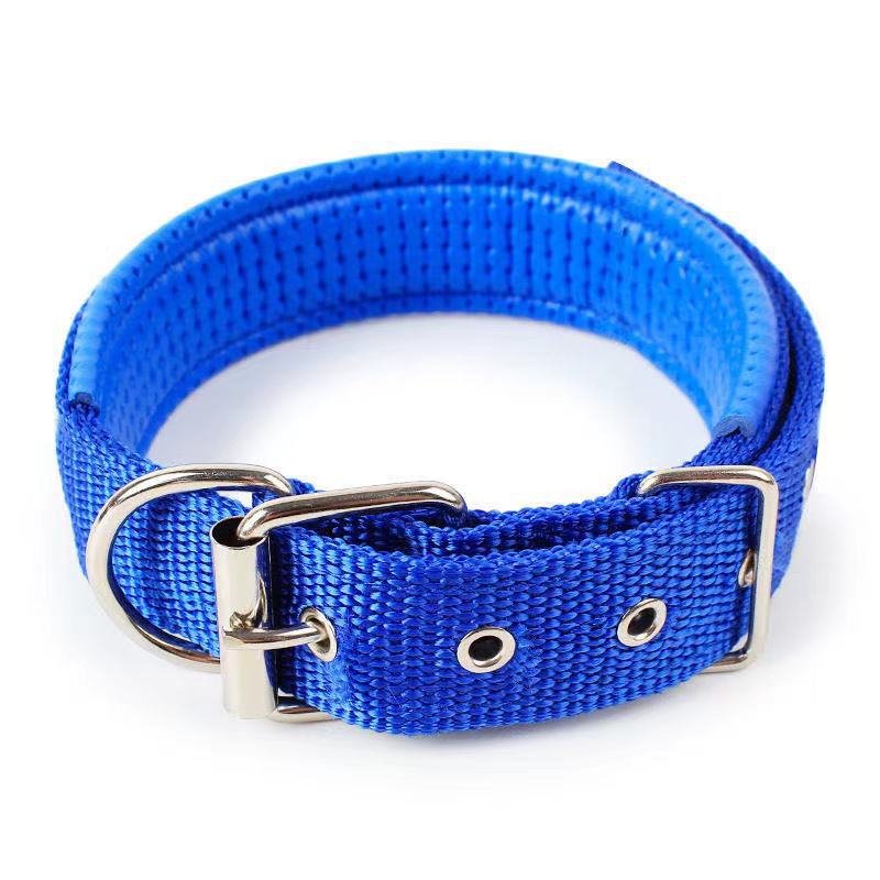 KFX-4644541 Nylon Dog Collars in Blue, Black, Red, and Green for Small to Large Breeds