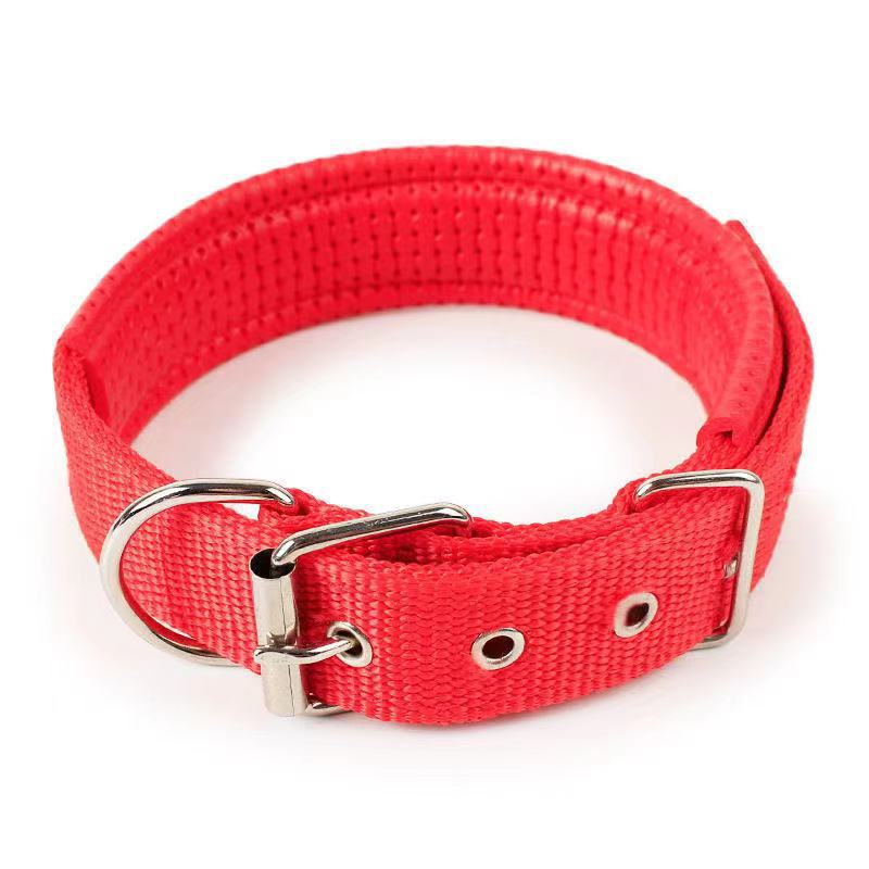 KFX-4644541 Nylon Dog Collars in Blue, Black, Red, and Green for Small to Large Breeds