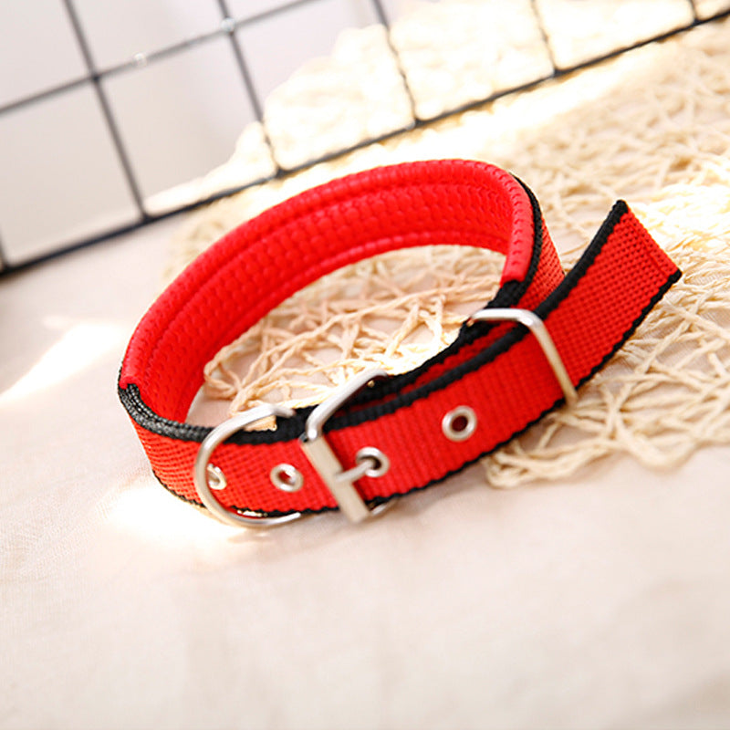 KFX-4644541 Nylon Dog Collars in Blue, Black, Red, and Green for Small to Large Breeds