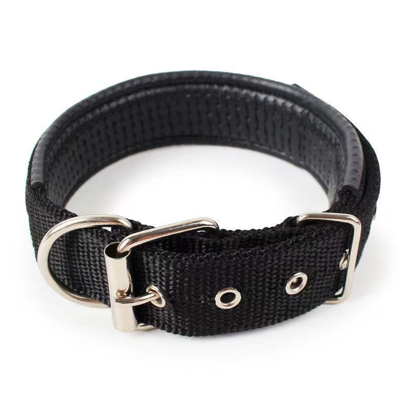 KFX-4644541 Nylon Dog Collars in Blue, Black, Red, and Green for Small to Large Breeds