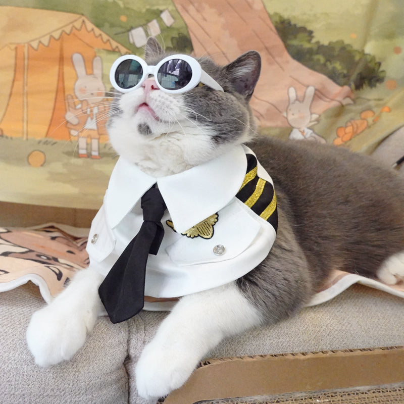 KFX-4654653 Stylish White Polyester Cat Scarf - Sizes S, M, L Available