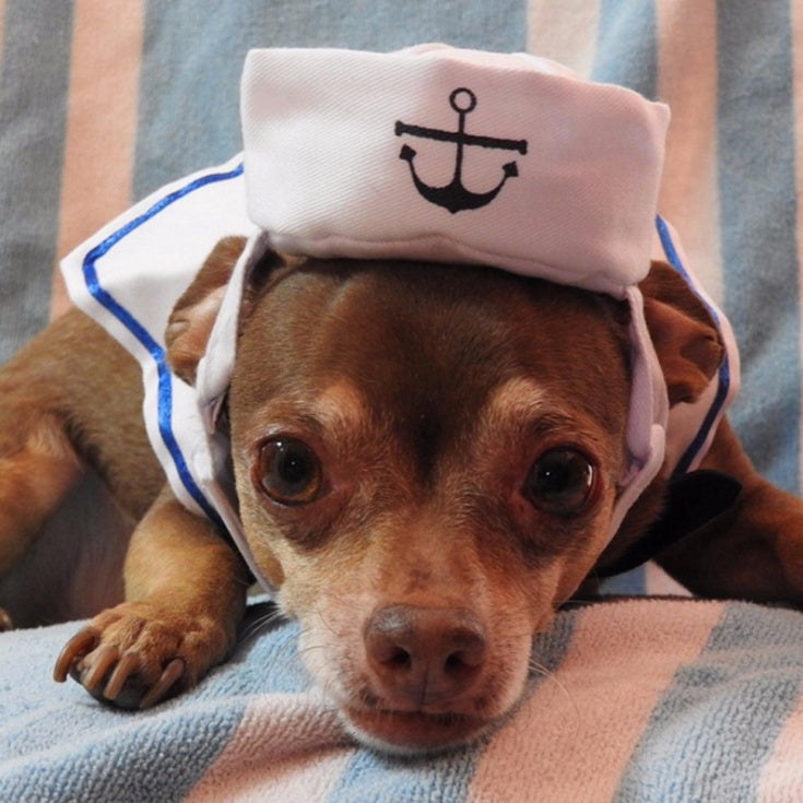 KFX-4655677 Nautical-Themed Pet Sailor Suit with Adjustable Hat and Collar