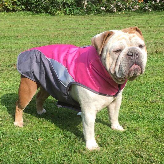 KFX-4658237 Waterproof Outdoor Poncho for Pets in Multiple Colors and Sizes