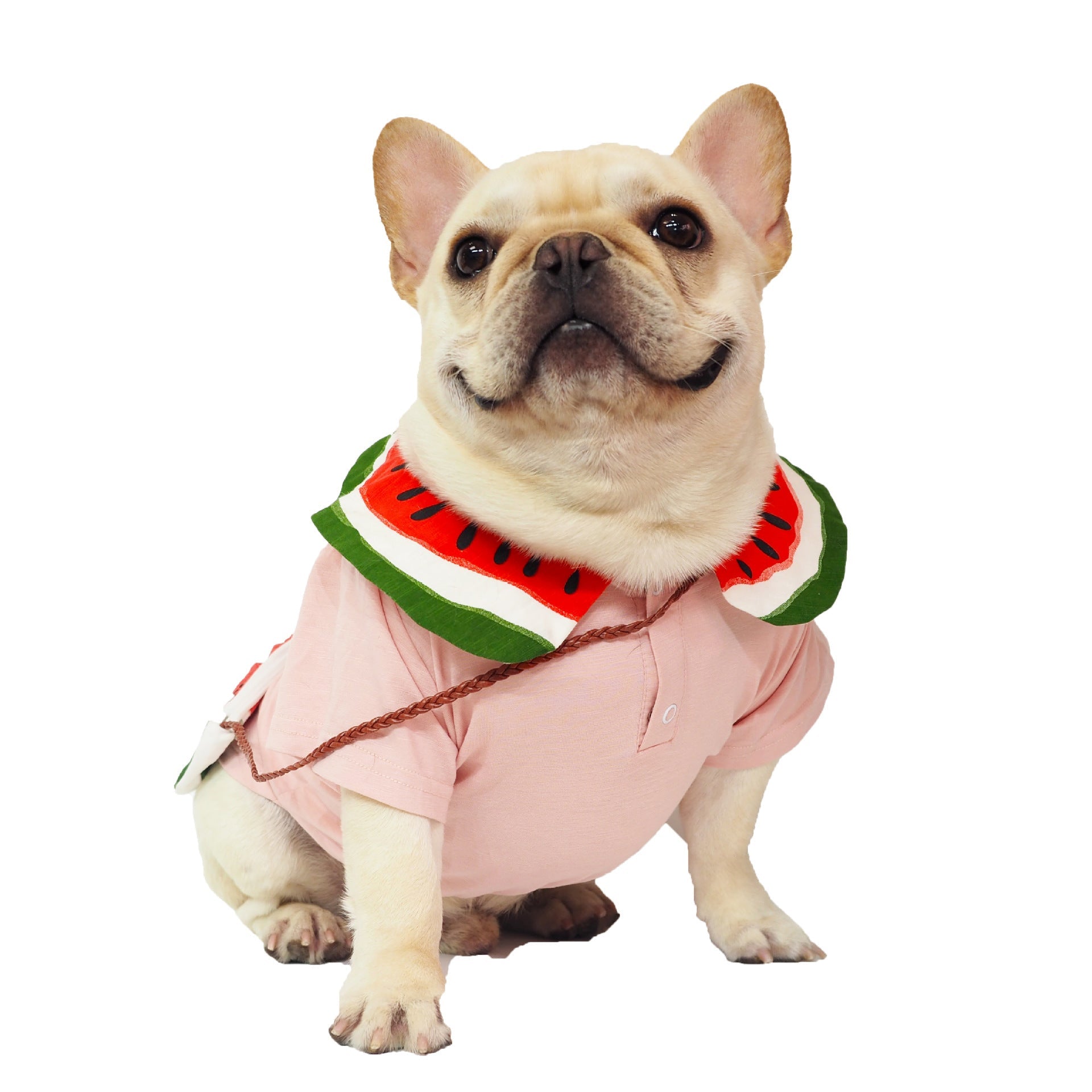 KFX-4658621 Watermelon Print Cotton Dog Outfit with Bag - Breathable Casual Wear for Pets