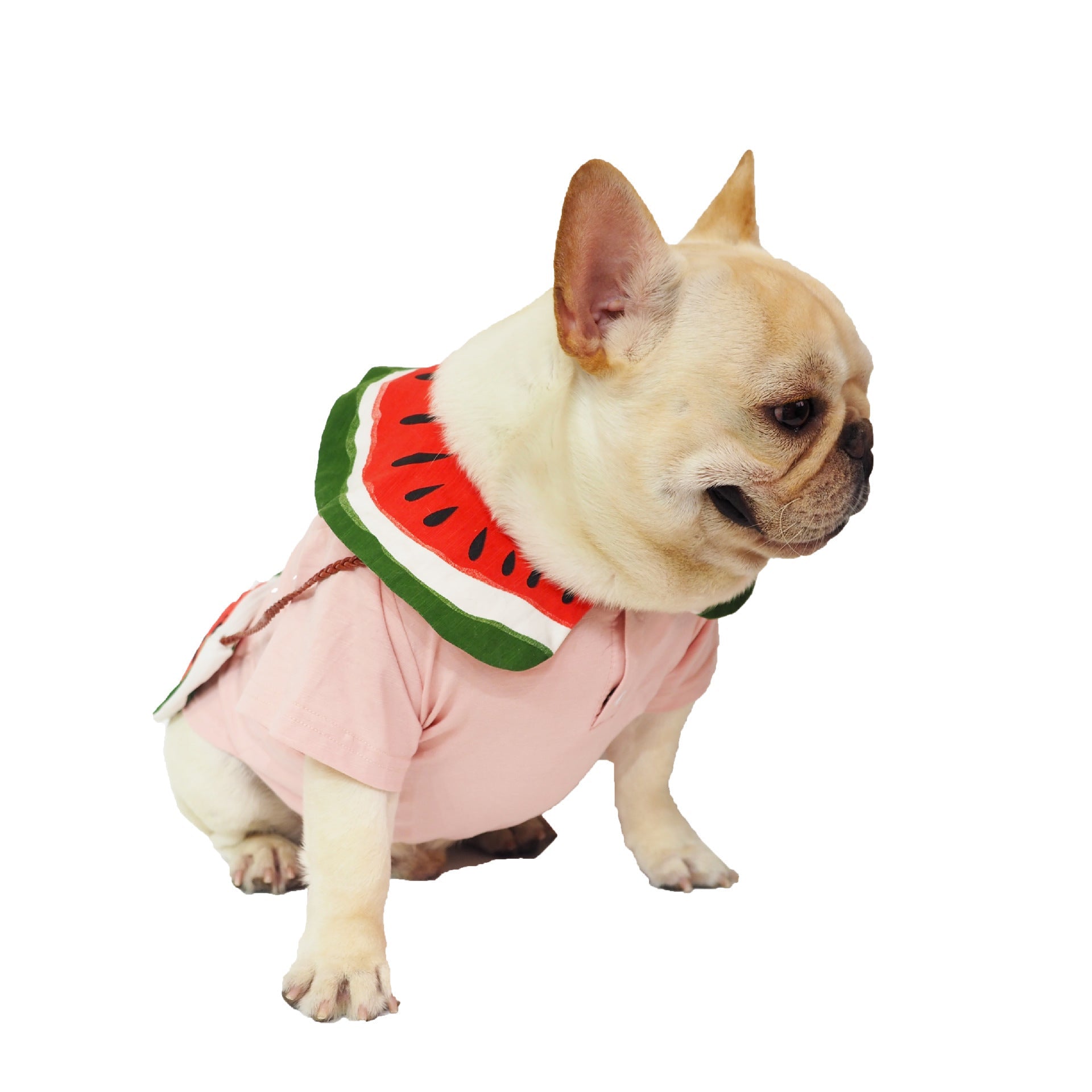 KFX-4658621 Watermelon Print Cotton Dog Outfit with Bag - Breathable Casual Wear for Pets