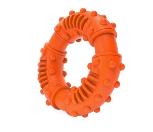 KFX-4658877 Interactive Rubber Ring for Engaging Play – 12.5cm Diameter, Available in Multiple Colors