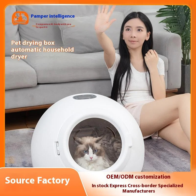 KFX-466707 Small Eco-Friendly Automatic Pet Hair Dryer for Dogs and Cats – Modern Plastic Drying Tool