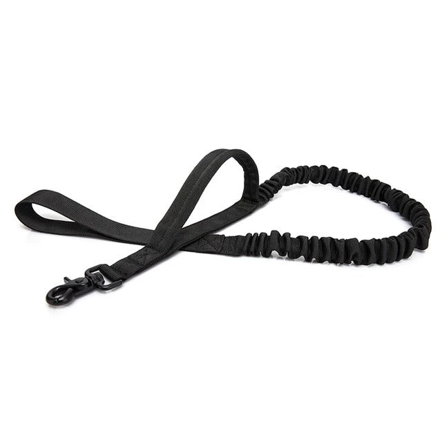 KFX-4669373 Reflective Dog Leash with Adjustable Length (97cm - 150cm)