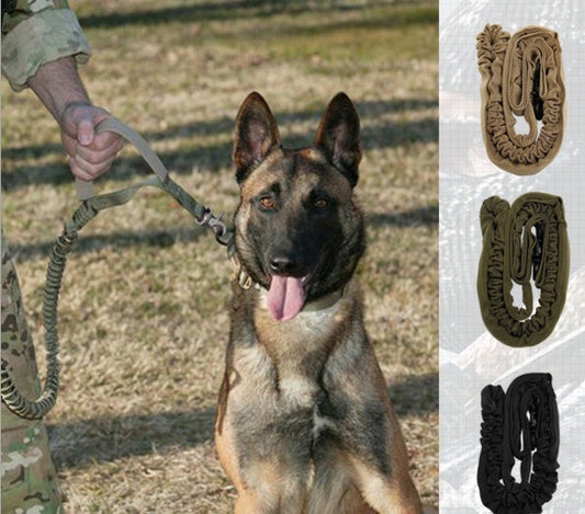 KFX-4669373 Reflective Dog Leash with Adjustable Length (97cm - 150cm)
