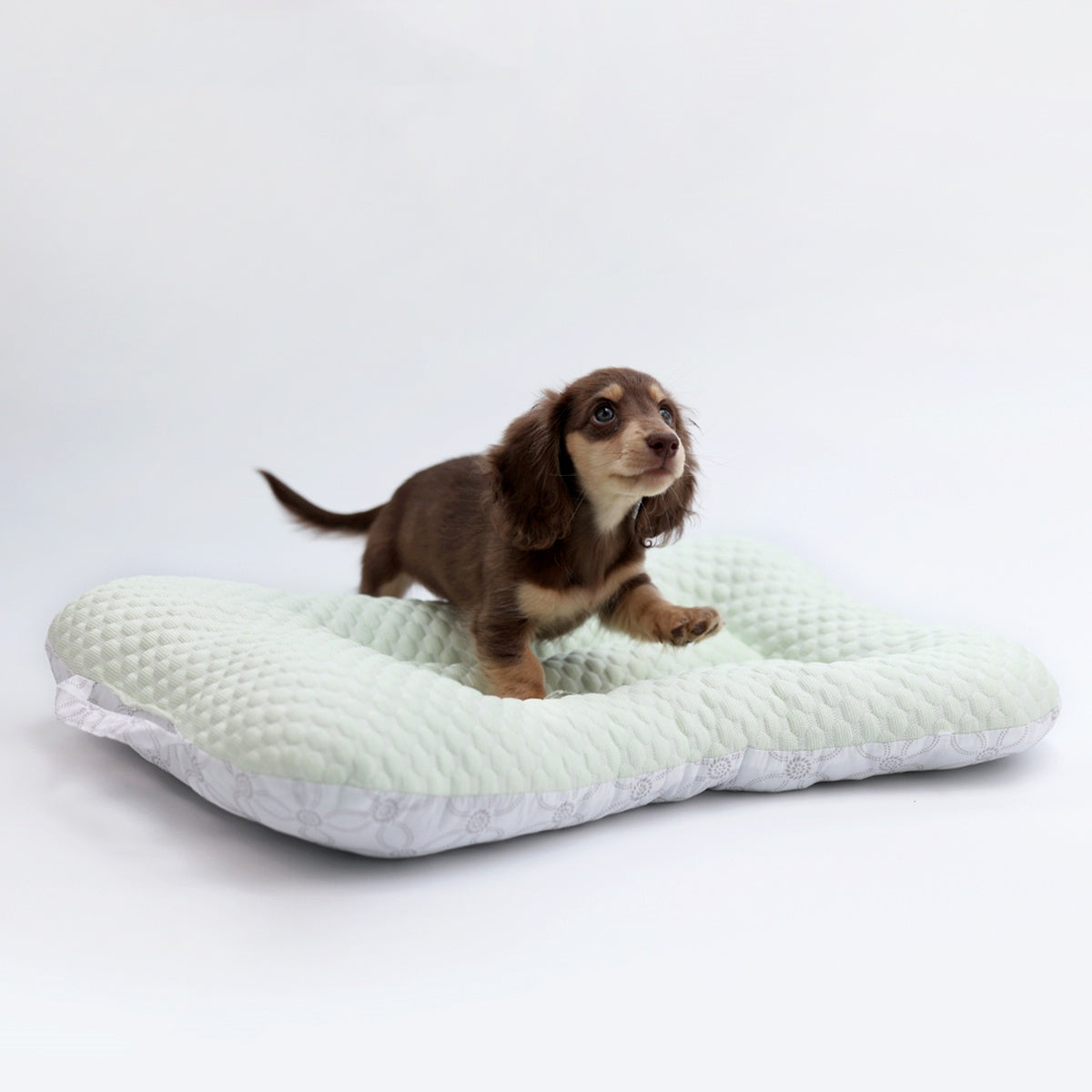 KFX-4671421 Cooling Pet Bed Mat - Non-Stick, Hair-Resistant, Oxford Cloth - Light Blue or Light Green - S & M Sizes