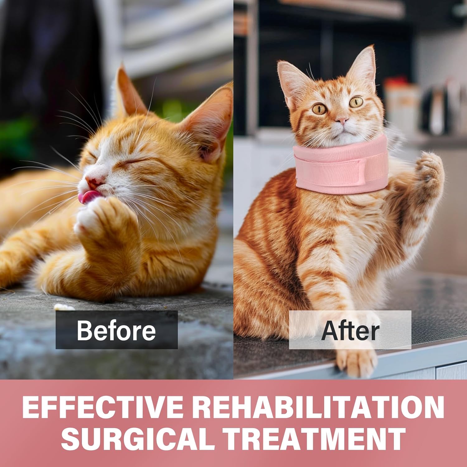 KFX-4677309 Soft Neck Brace Cone Collar for Cats and Dogs After Surgery - Supportive Recovery Aid
