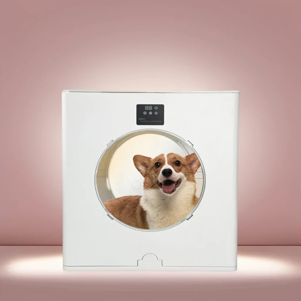 KFX-467859 Adjustable Speed Pet Hair Dryer for Dogs and Cats - Foldable and Efficient Grooming Tool