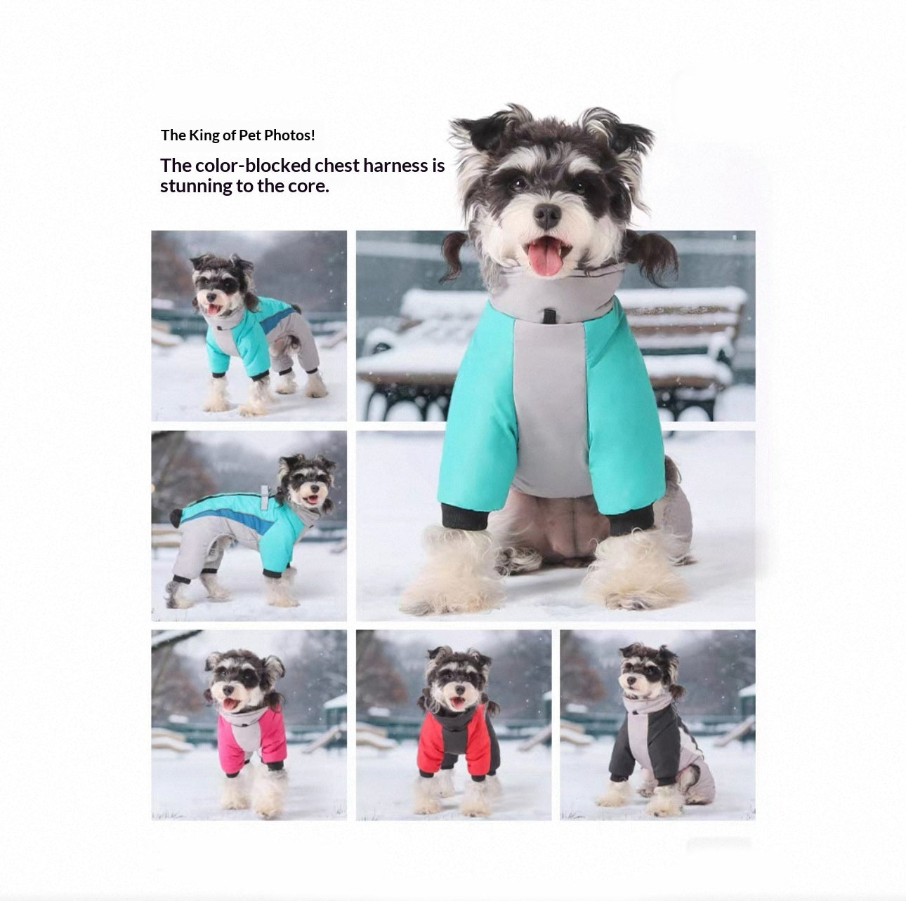 KFX-4679869 Fleece-Lined Waterproof Dog Coat with Traction for All Seasons