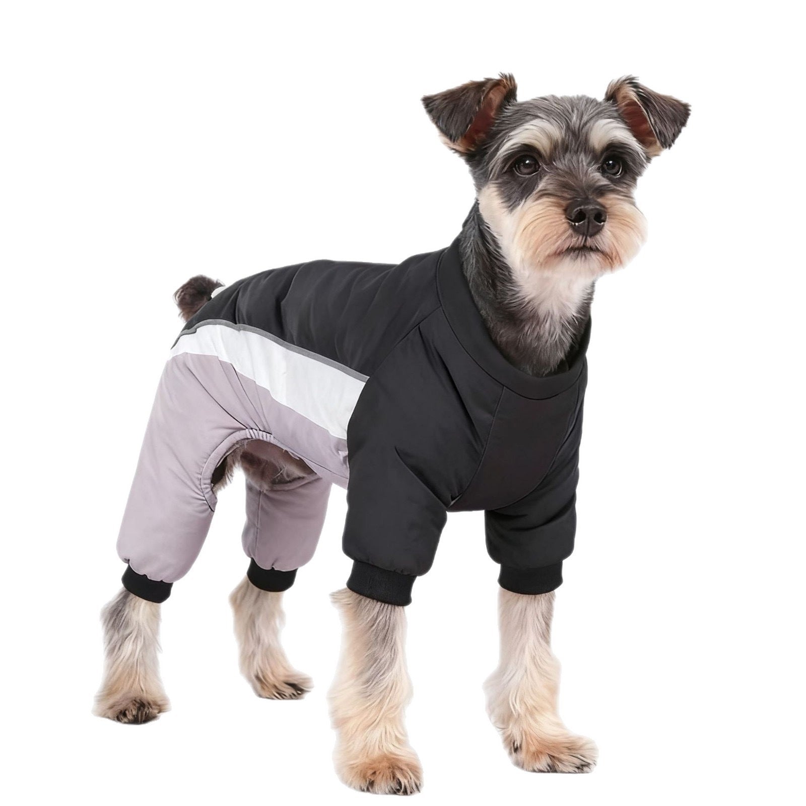 KFX-4679869 Fleece-Lined Waterproof Dog Coat with Traction for All Seasons
