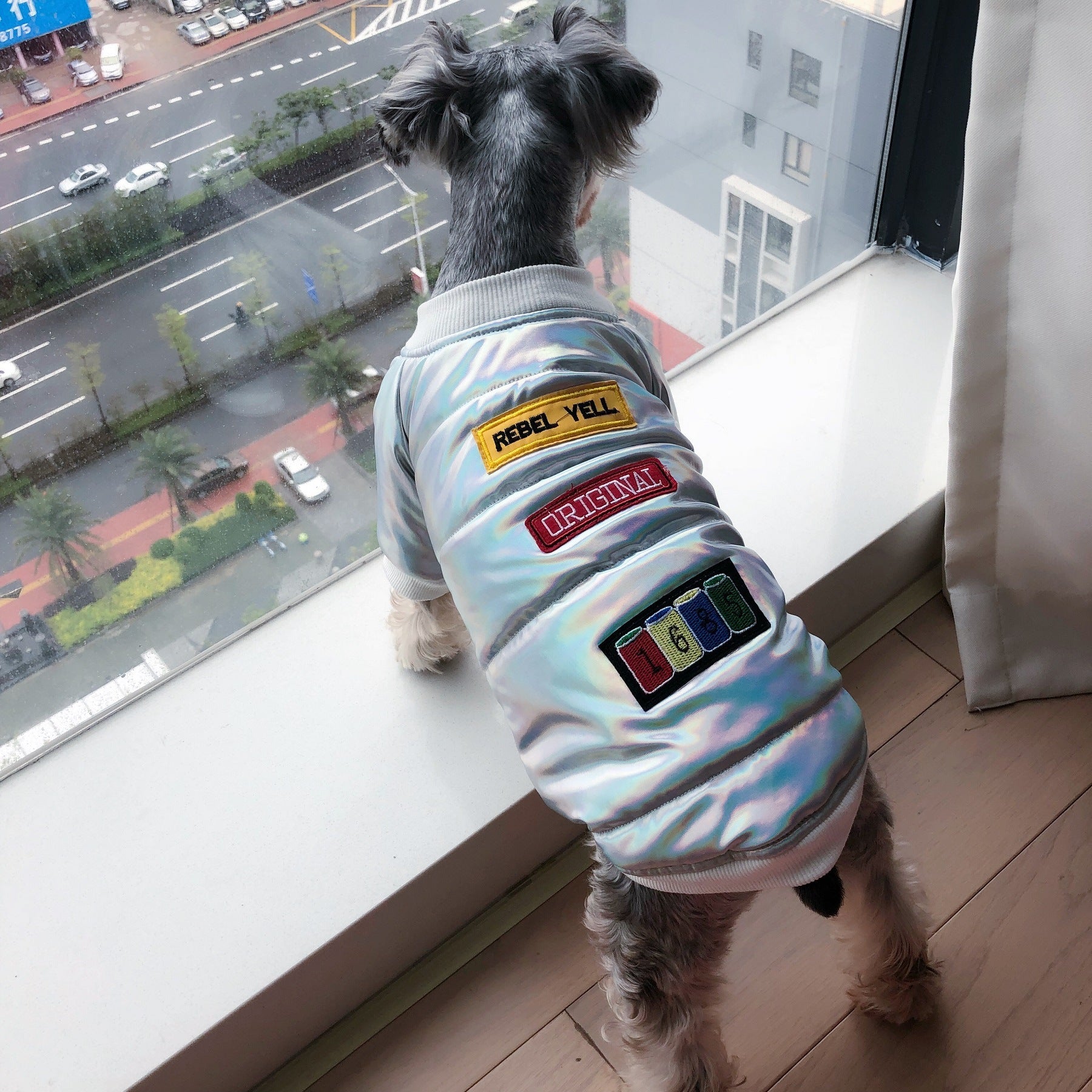 KFX-4681661 Casual White Polyester Coat for Schnauzer Puppy - Fall & Winter Pet Apparel