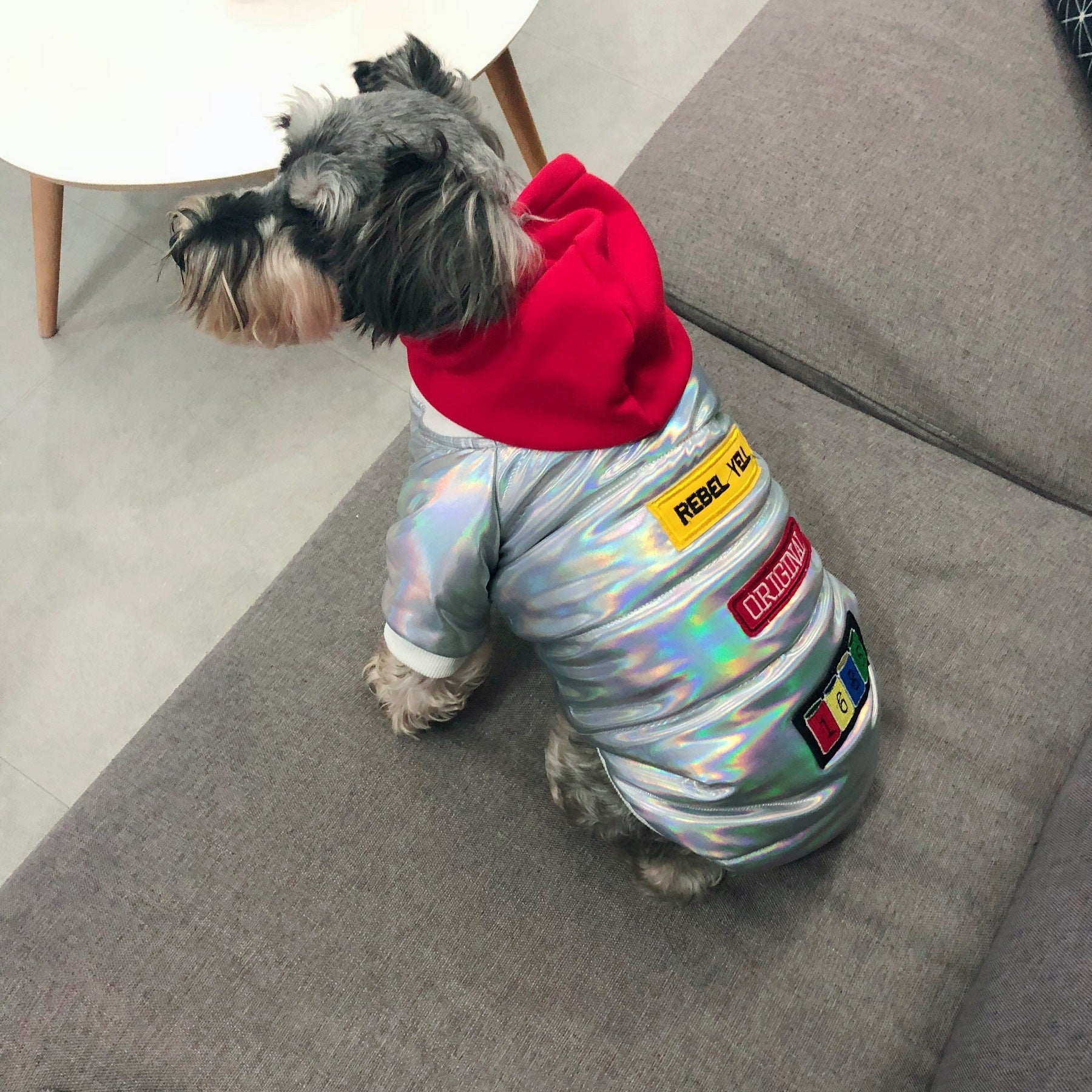 KFX-4681661 Casual White Polyester Coat for Schnauzer Puppy - Fall & Winter Pet Apparel