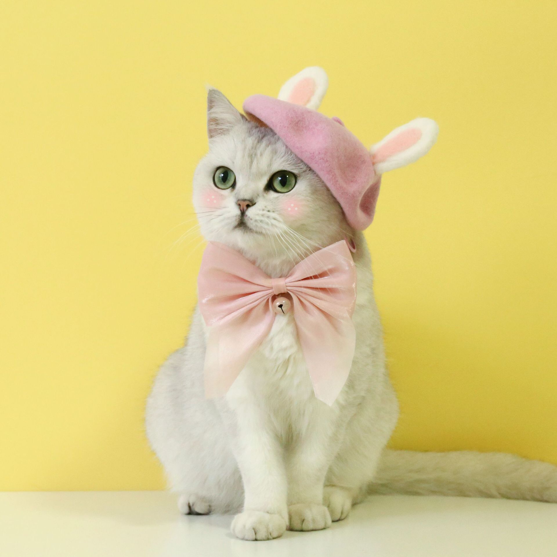 KFX-4683069 Warm Wool Rabbit Ear Hat and Scarf Set for Small to Medium Pets