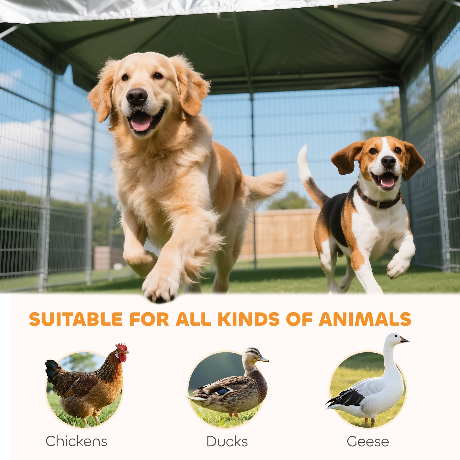 KFX-4684733 Heavy Duty Outdoor Dog Kennel with Roof, 4' x 4' x 6', Escape-Proof, UV-Resistant & Waterproof Cover for Medium Dogs