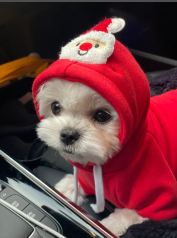 KFX-4686141 Festive Pet Sweater for Christmas - Red or Green, Sizes XS to XXL