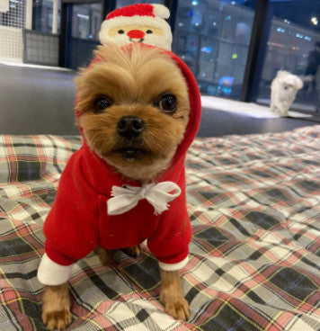 KFX-4686141 Festive Pet Sweater for Christmas - Red or Green, Sizes XS to XXL