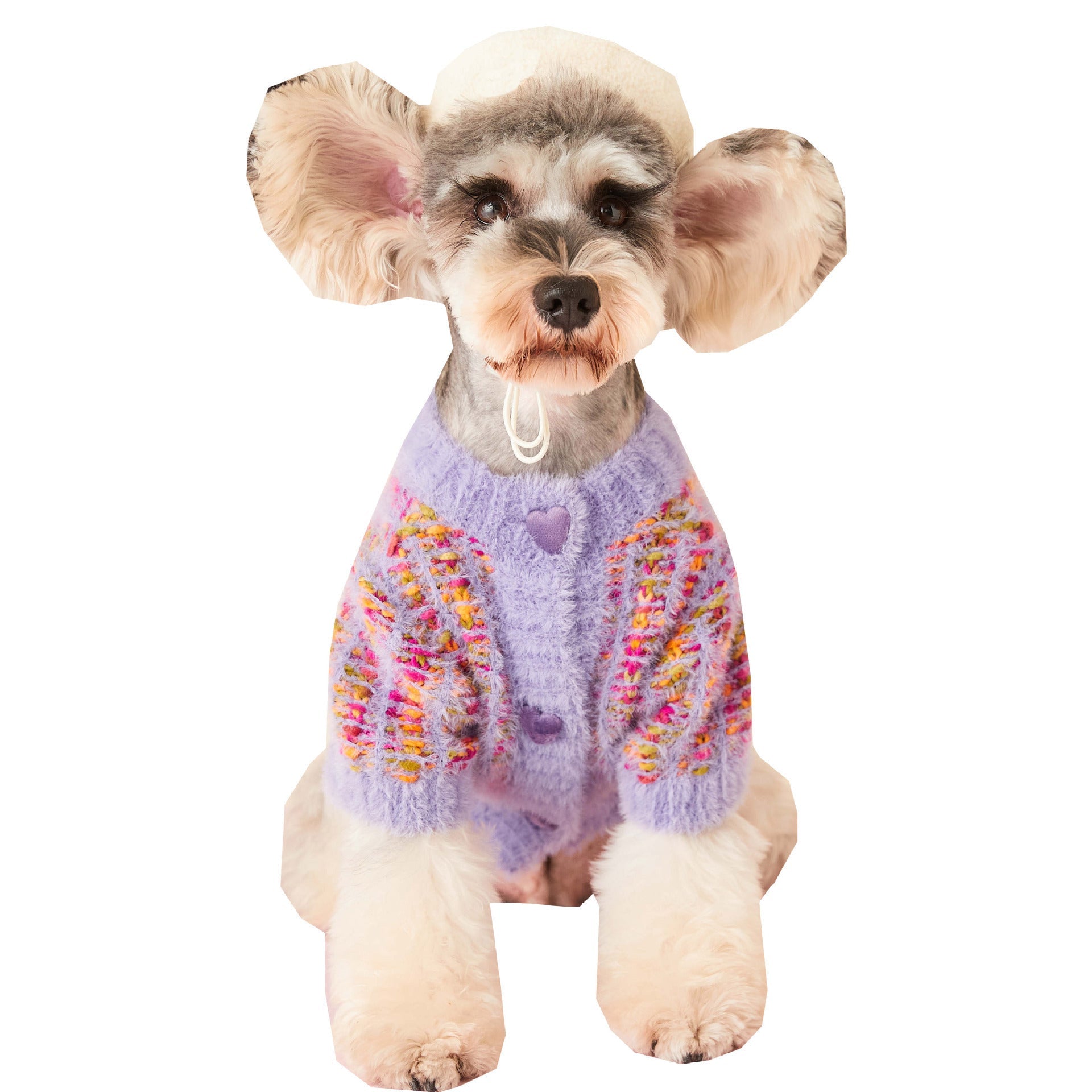KFX-4686653 Colorful Wool Sweater Cardigan for Female Dogs in Purple and Pink, Sizes XS-2XL