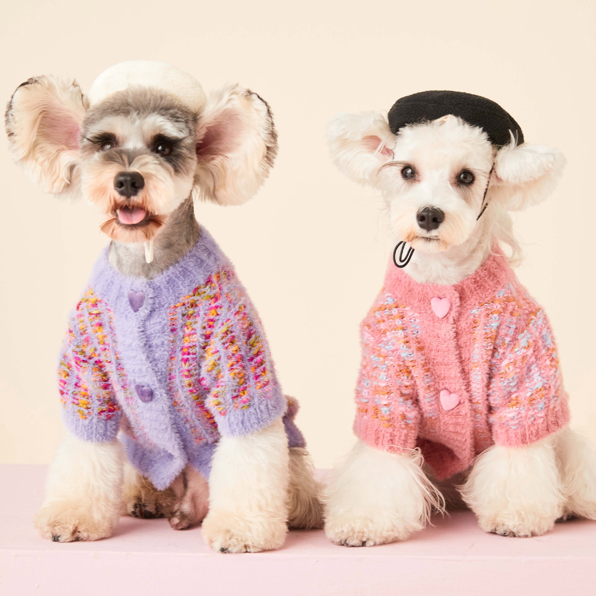 KFX-4686653 Colorful Wool Sweater Cardigan for Female Dogs in Purple and Pink, Sizes XS-2XL