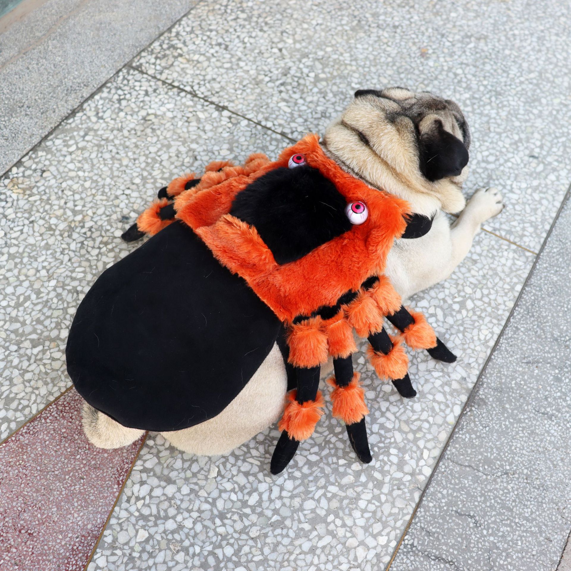 KFX-4688445 Red-Eyed Spider Halloween Costume for Pets, Polyester Fabric, Available in Sizes S, M, L