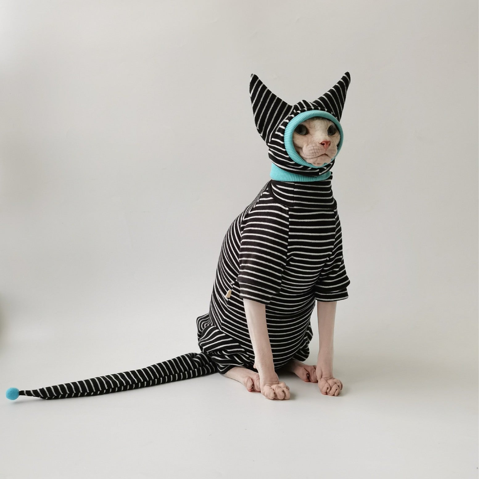 KFX-4691901 Dralon Casual Bellyband Pet Clothing with Optional Hat for Four-Legged Friends