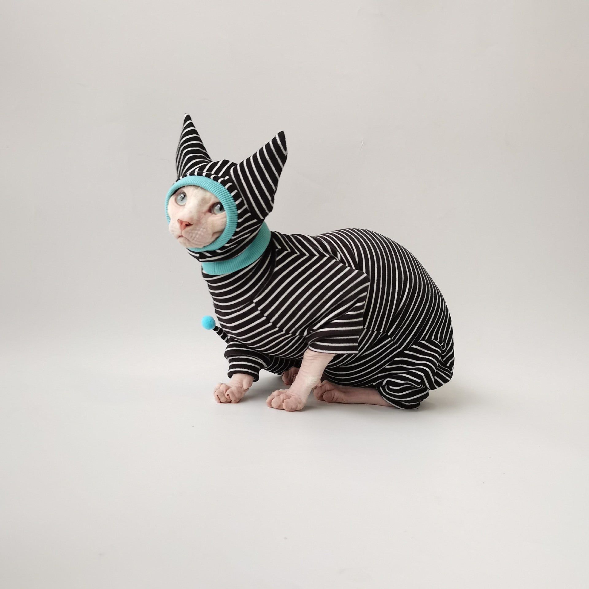 KFX-4691901 Dralon Casual Bellyband Pet Clothing with Optional Hat for Four-Legged Friends
