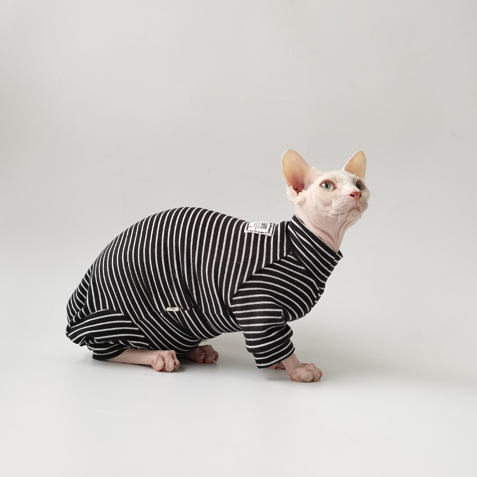 KFX-4691901 Dralon Casual Bellyband Pet Clothing with Optional Hat for Four-Legged Friends
