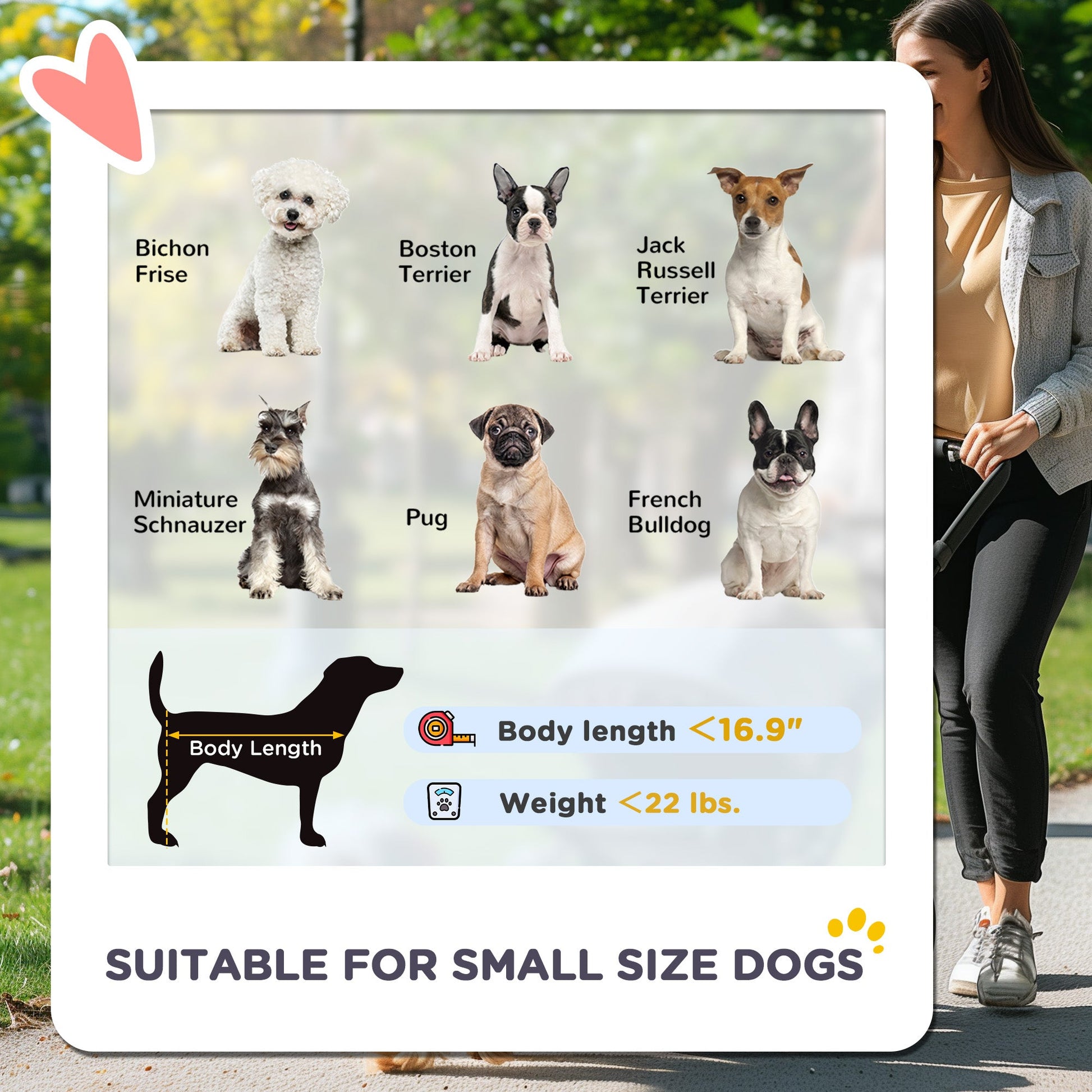 KFX-4692285 3-in-1 Pet Jogging Stroller for Small Dogs and Cats with Detachable Carrier, Foldable Design, 12" Wheels