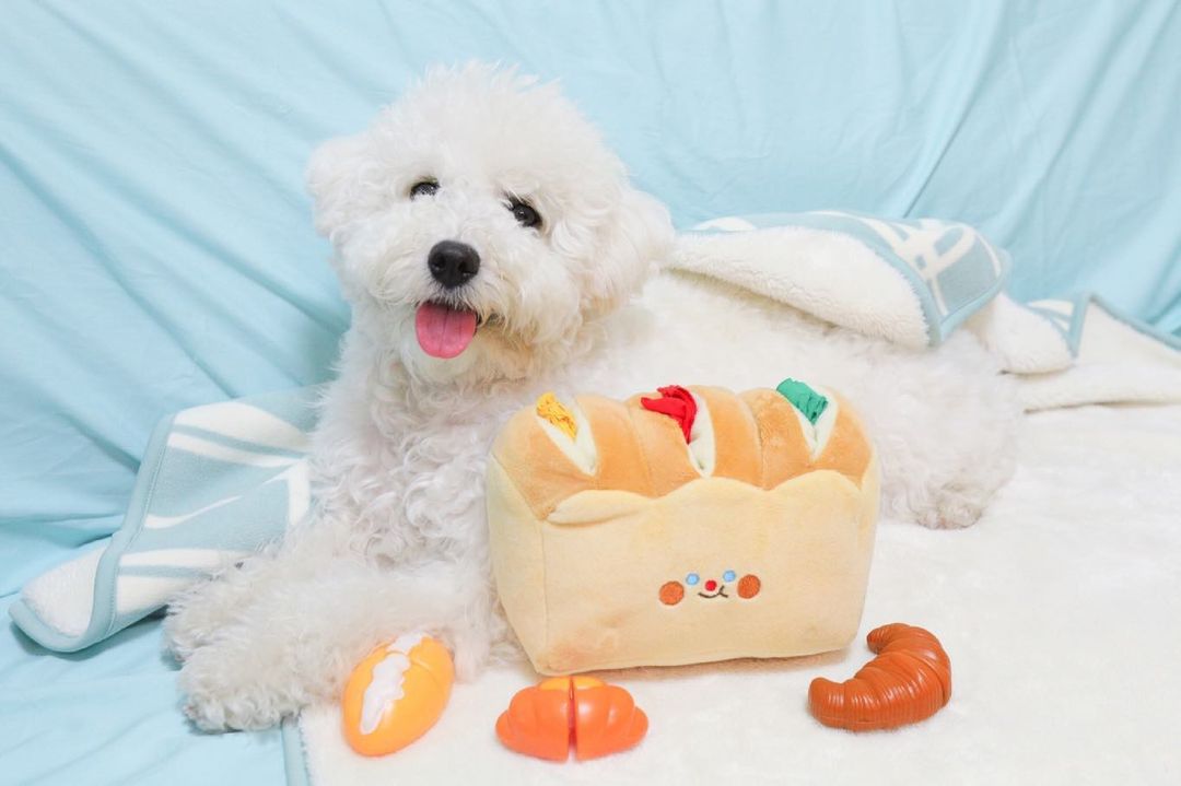 KFX-4702013 Tibetan Plush Bread Toast Toy with Food Hiding Strips and Rustling Paper