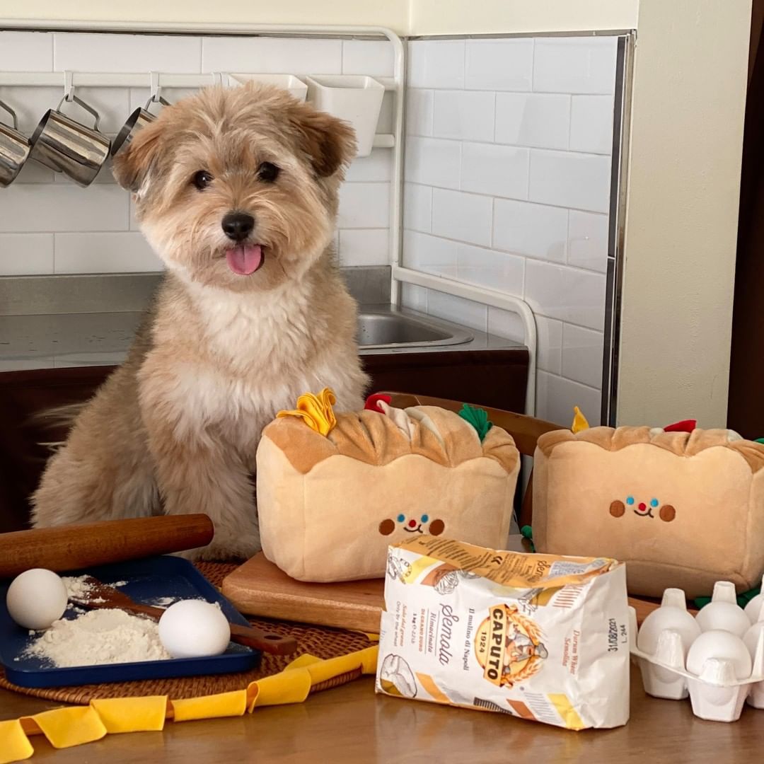 KFX-4702013 Tibetan Plush Bread Toast Toy with Food Hiding Strips and Rustling Paper
