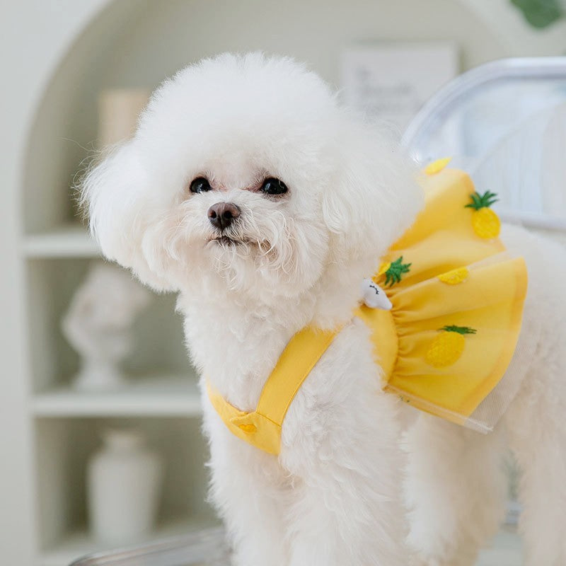KFX-4705597 Luxury Summer Dog Dress for Small Pets - Cute Mesh Cotton Vest & Skirt for Chihuahuas and Bichons
