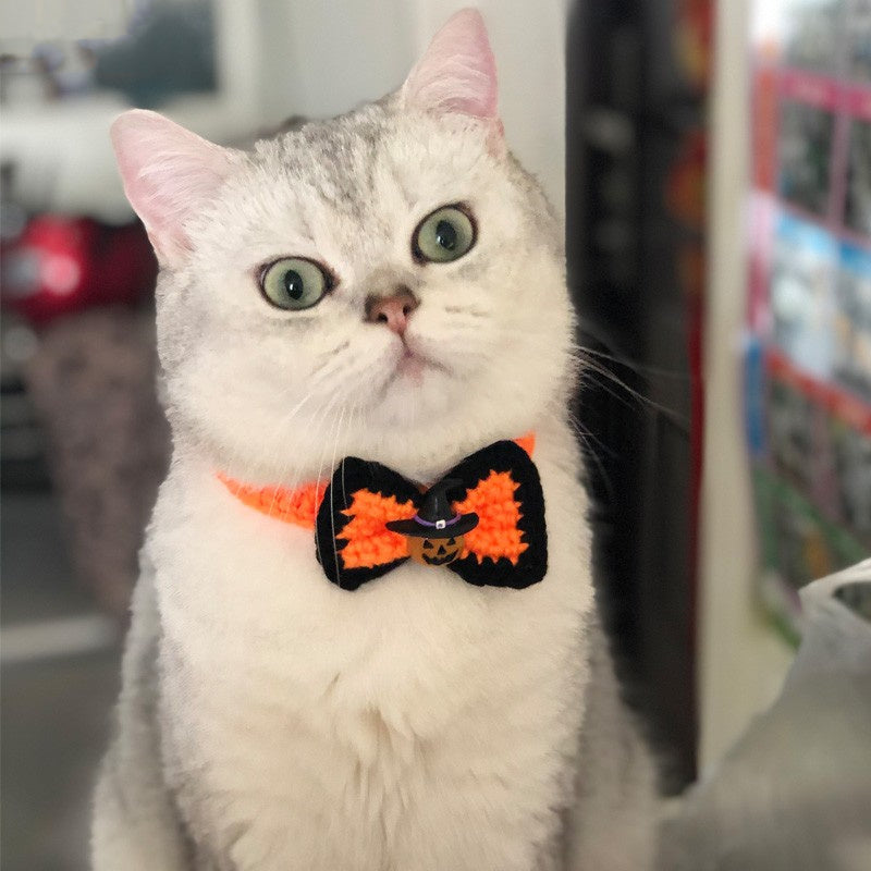 KFX-4715837 Halloween Pet Jewelry Hat and Collar Set for Cats - Adjustable Sizes XS to L