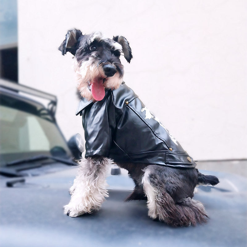 KFX-4718013 Cozy Pet Winter Clothes for Fall and Winter Seasons