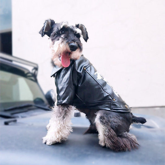 KFX-4718013 Cozy Pet Winter Clothes for Fall and Winter Seasons