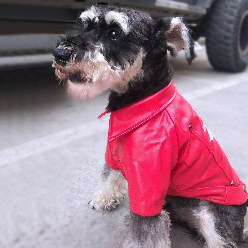 KFX-4718013 Cozy Pet Winter Clothes for Fall and Winter Seasons
