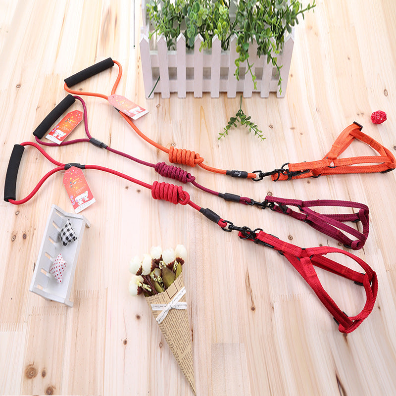 KFX-4723389 Durable Scalable Nylon Leash for Small to Medium Dogs - Available in Multiple Colors
