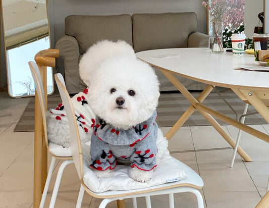 KFX-4724157 Pomeranian Small Puppy Two-Legged Spring & Autumn Clothes in Gray and White