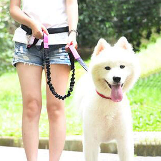 KFX-4729149 Elastic Traction Rope Belt for Pet Walking and Running - Adjustable Length and Comfortable Cushioning